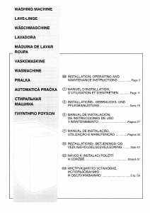 Manual Brandt WTC1381EV Máquina de lavar roupa