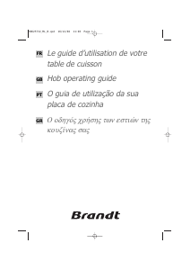 Manual Brandt TE212XS1 Hob