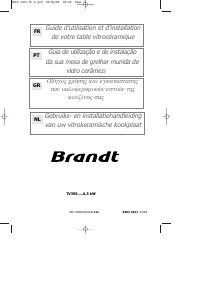 Manual Brandt TV350XT1 Placa