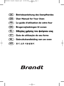 Manual Brandt FV400XS1 Oven