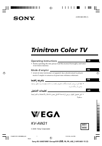 كتيب أس سوني KV-AW21M81 تليفزيون