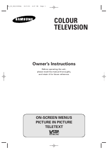 Bruksanvisning Samsung CW29A8VD TV