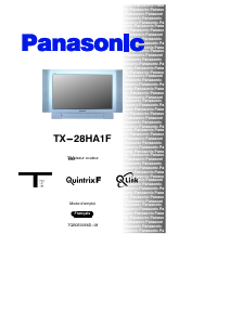 Bedienungsanleitung Panasonic TX-28HA1F Fernseher