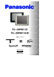 Bedienungsanleitung Panasonic TX-29PM11D Fernseher