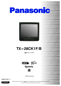 Bedienungsanleitung Panasonic TX-28CK1B Fernseher