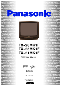 Bedienungsanleitung Panasonic TX-25MK1F Fernseher