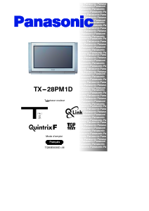 Bedienungsanleitung Panasonic TX-28PM1D Fernseher