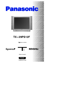 Bedienungsanleitung Panasonic TX-29PS12F Fernseher