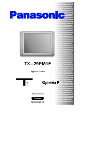 Bedienungsanleitung Panasonic TX-29PM1F Fernseher