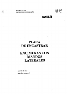 Manual de uso Zanussi Z40SXIN Placa