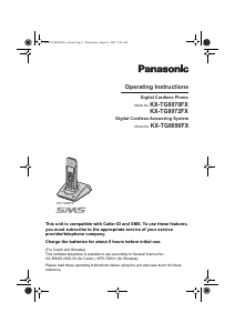 Manual Panasonic KX-TG8072FX Wireless Phone