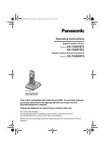 Handleiding Panasonic KX-TG8070FX Draadloze telefoon