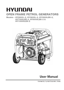 Manual Hyundai HY3800LEK-2 Generator
