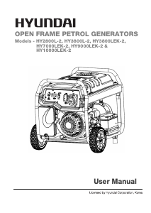 Handleiding Hyundai HY3800LEK-2 Generator