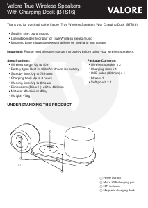 Manual Valore BTS16 Speaker