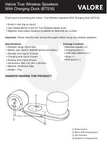 Handleiding Valore BTS16 Luidspreker