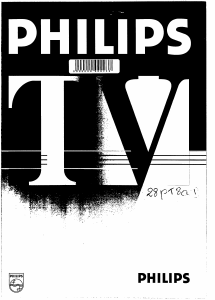 Mode d’emploi Philips 28PT800B Téléviseur