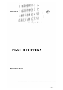 Manuale Zanussi ZH41NST Piano cottura