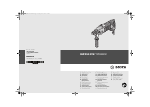 كتيب مثقاب دقاق GSB 162-2 RE Professional بوش