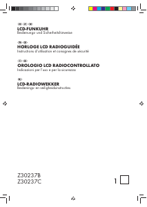 Manuale Auriol IAN 66773 Radiosveglia