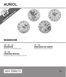 Mode d’emploi Auriol IAN 288610 Horloge