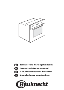 Manual Bauknecht ESN 8270 WS Oven