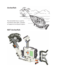 Bedienungsanleitung Lego set 8547 Mindstorms Archerfish by Fay Rhodes