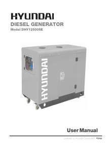 Manual Hyundai DHY12500SE Generator