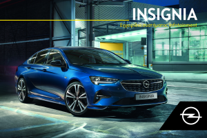 Εγχειρίδιο Opel Insignia (2021)