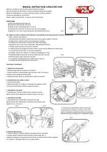 Manual Primii Pasi H-309 Carucior