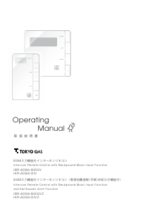 Handleiding Tokyo Gas IBR-A09A-BGISVZ Thermostaat