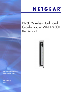 Manual Netgear WNDR4300 Router