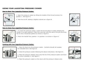 lagostina endura pressure cooker