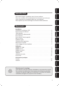 Manuale Philips 20PF8846 LCD televisore