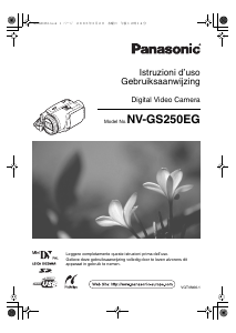 Manuale Panasonic NV-GS250EG Videocamera