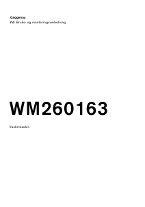 Bruksanvisning Gaggenau WM260163 Vaskemaskin