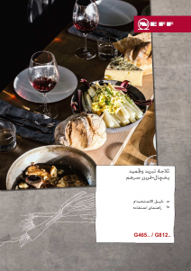 كتيب Neff G8320X0 فريزر