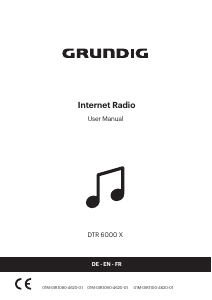 Handleiding Grundig DTR 6000 X Radio