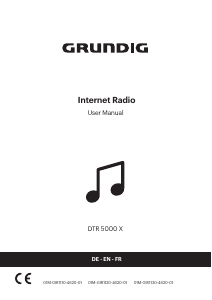 Manual Grundig DTR 5000 X Radio