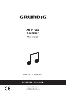 Manual Grundig DSB 970 Speaker