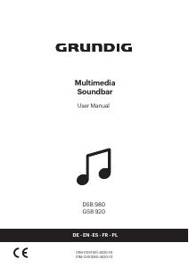 Mode d’emploi Grundig DSB 980 Haut-parleur