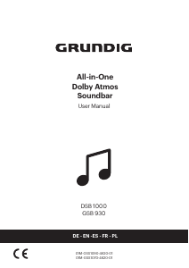 Manual Grundig DSB 1000 Speaker