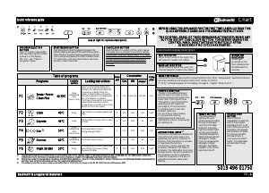 Manual Bauknecht GSX Platinum 4 Dishwasher