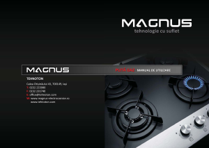 Manual Magnus Commodus Plită