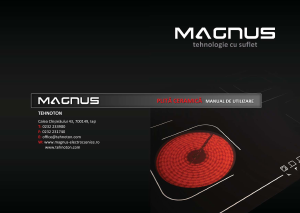 Manual Magnus Excello Plită