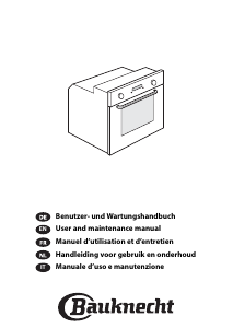 Manual Bauknecht BLPM 8100/PT Oven