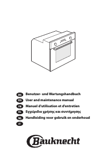 Manual Bauknecht BLTMS 9100 IXL Oven