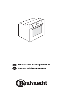 Manual Bauknecht ELCPE 8260 PT Oven