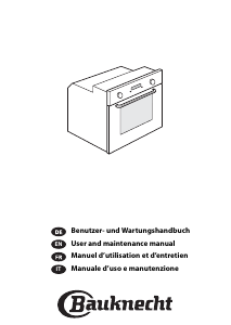 Manual Bauknecht ESN 8272 SW Oven