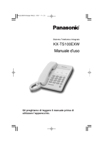 Manuale Panasonic KX-TS100EXW Telefono